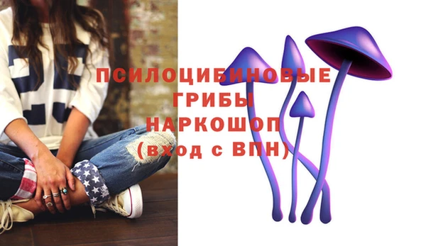 крисы Зерноград
