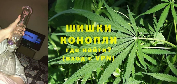 крисы Зерноград