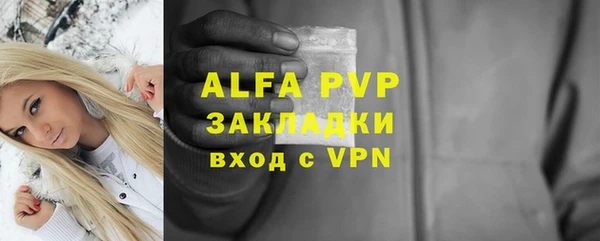 крисы Зерноград